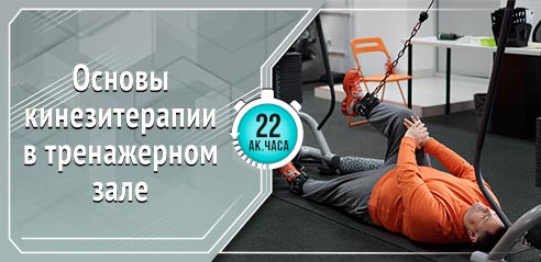 Основы кинезиотерапии в тренажерном зале