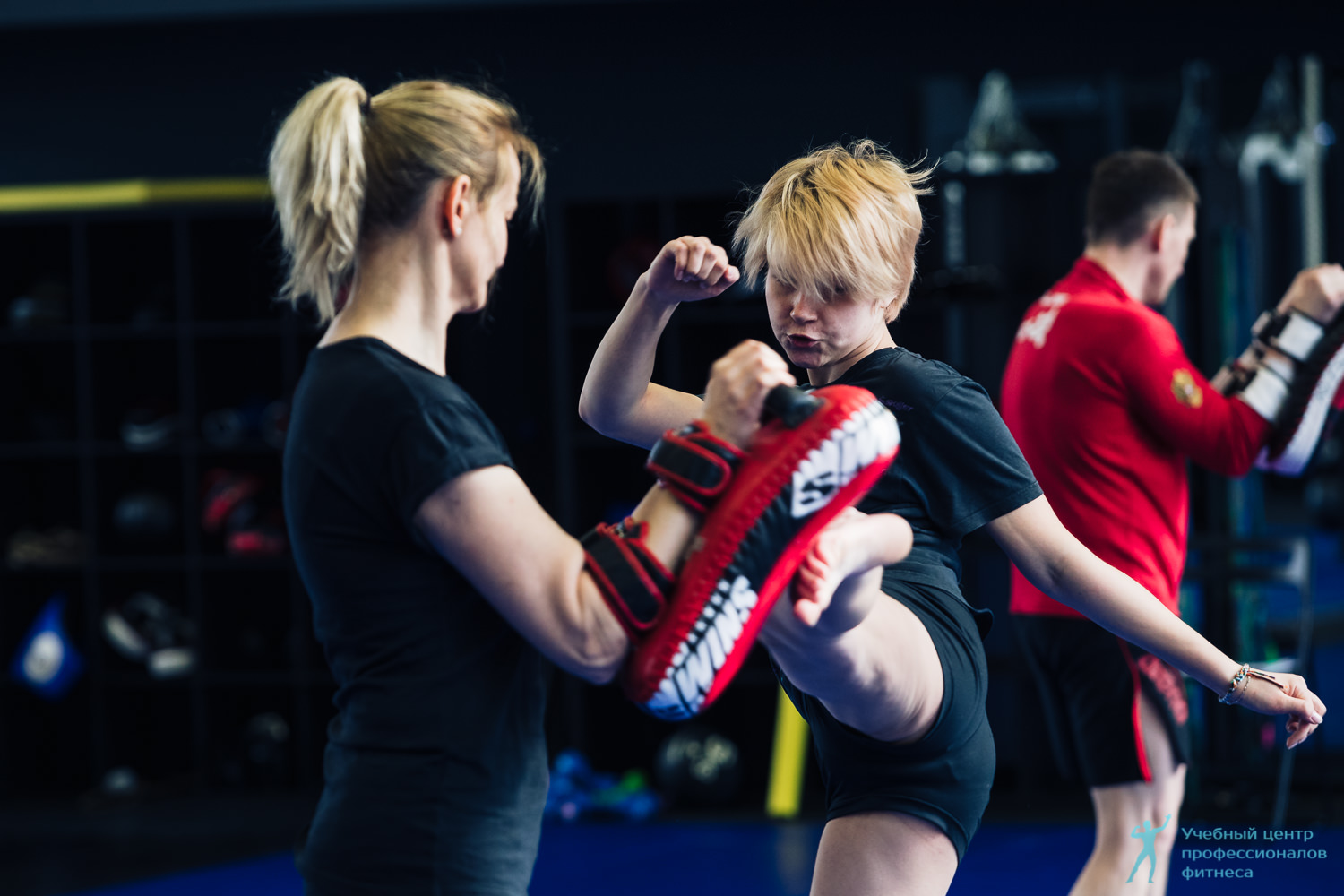 Инструктор по единоборствам